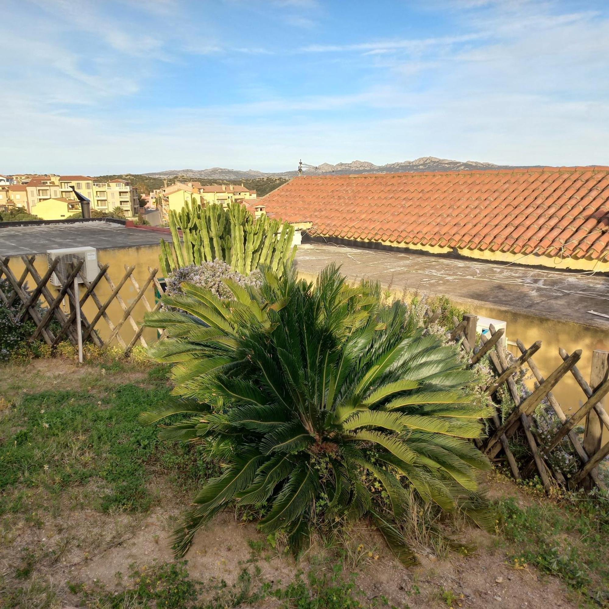 Villa Graziella La Maddalena  Eksteriør billede