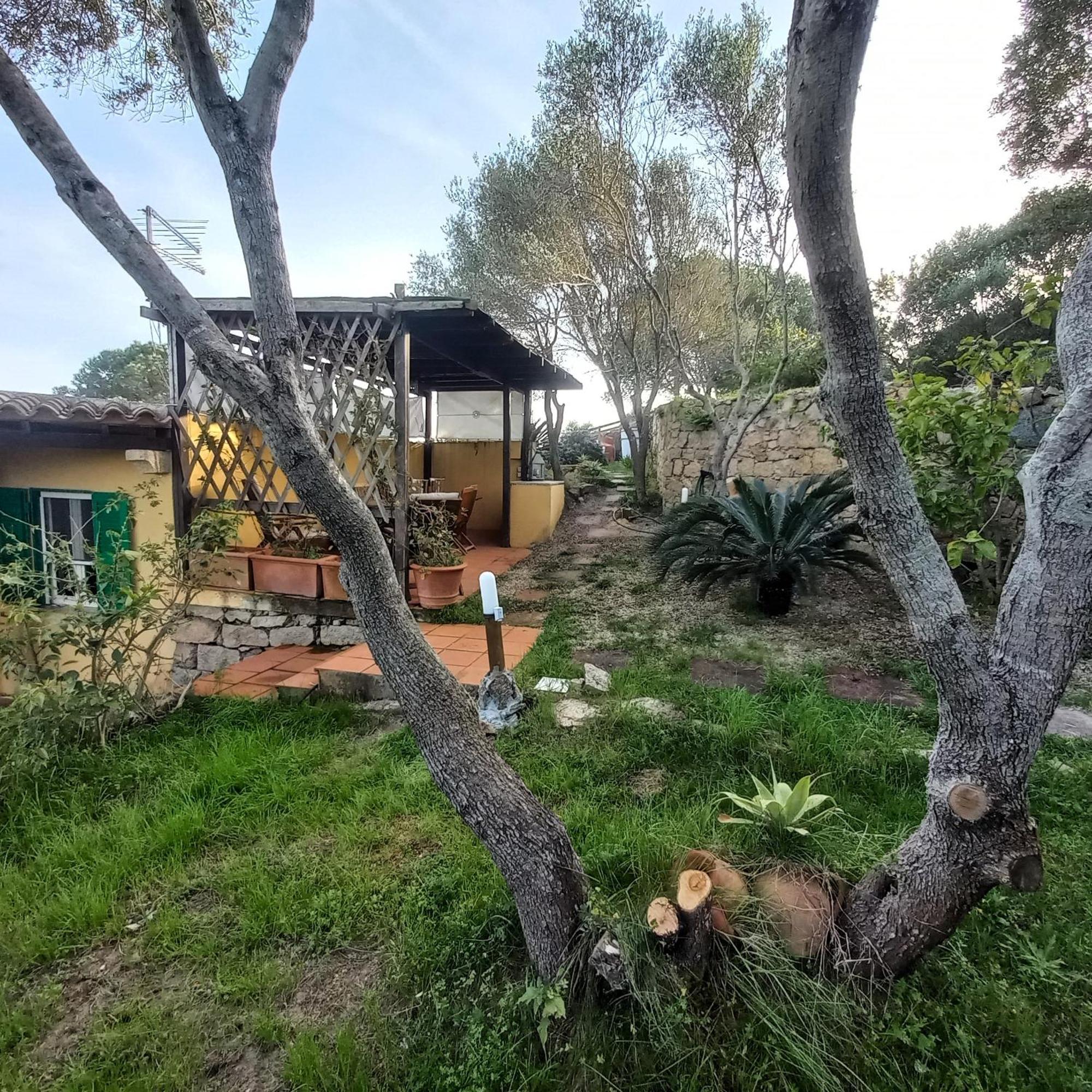 Villa Graziella La Maddalena  Eksteriør billede