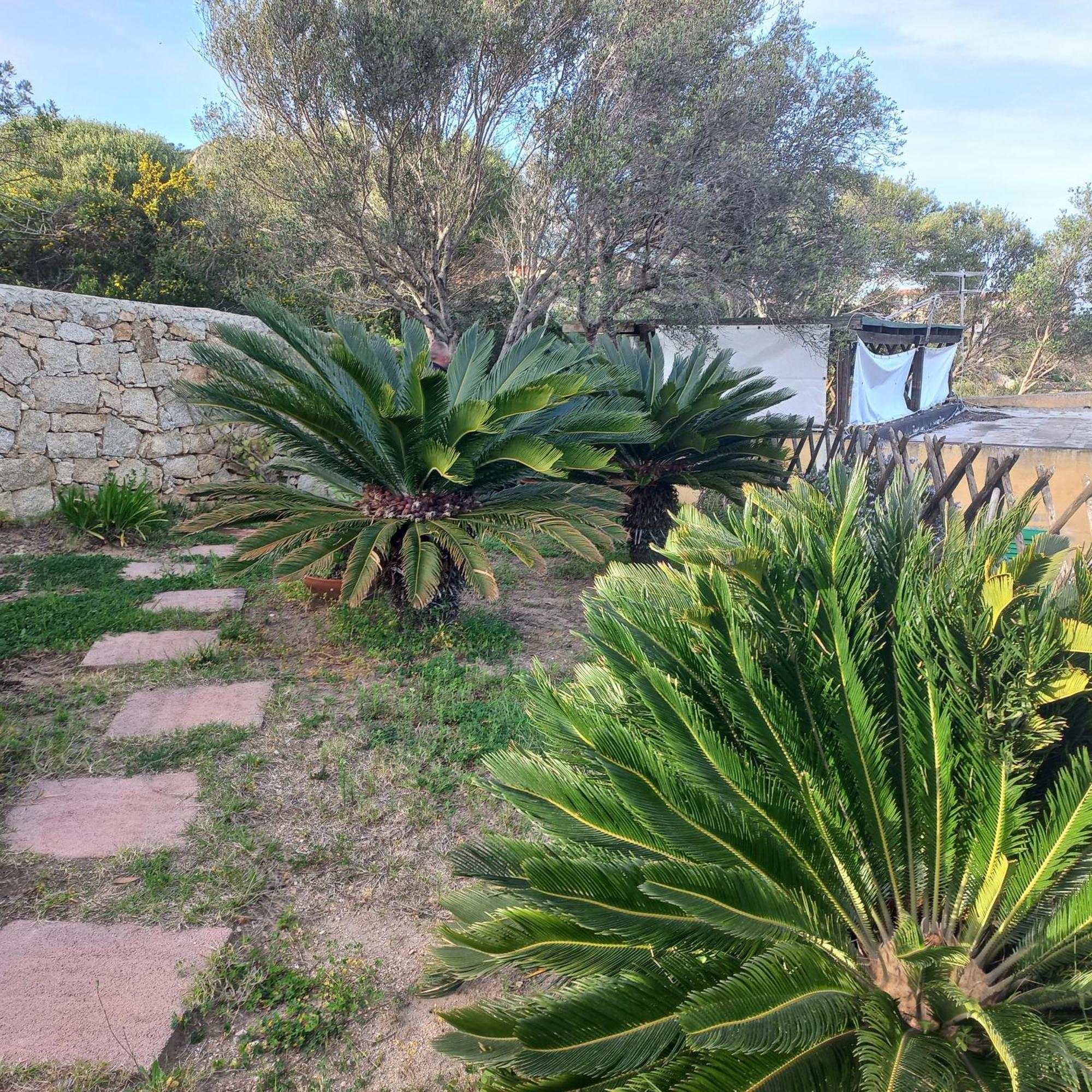 Villa Graziella La Maddalena  Eksteriør billede