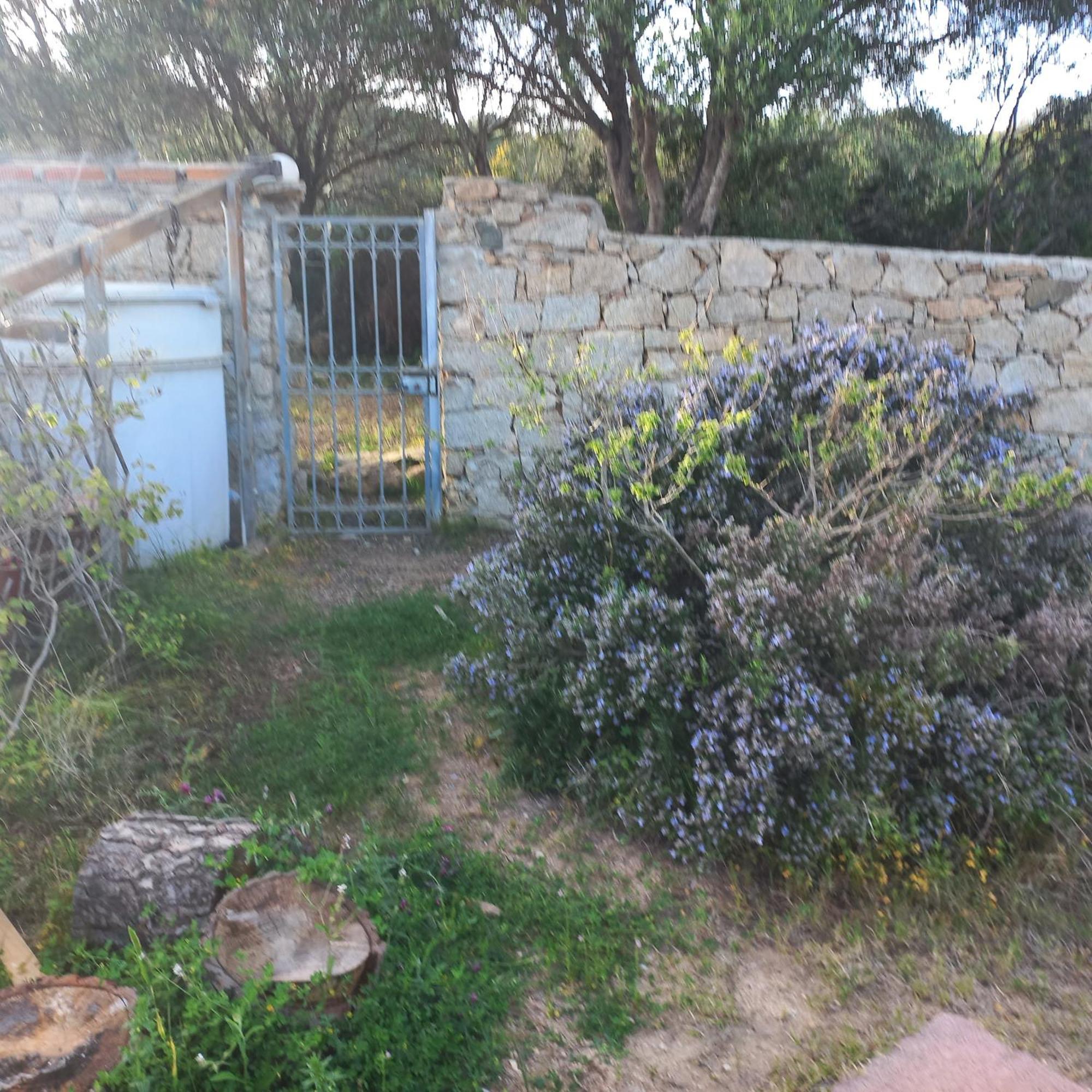 Villa Graziella La Maddalena  Eksteriør billede