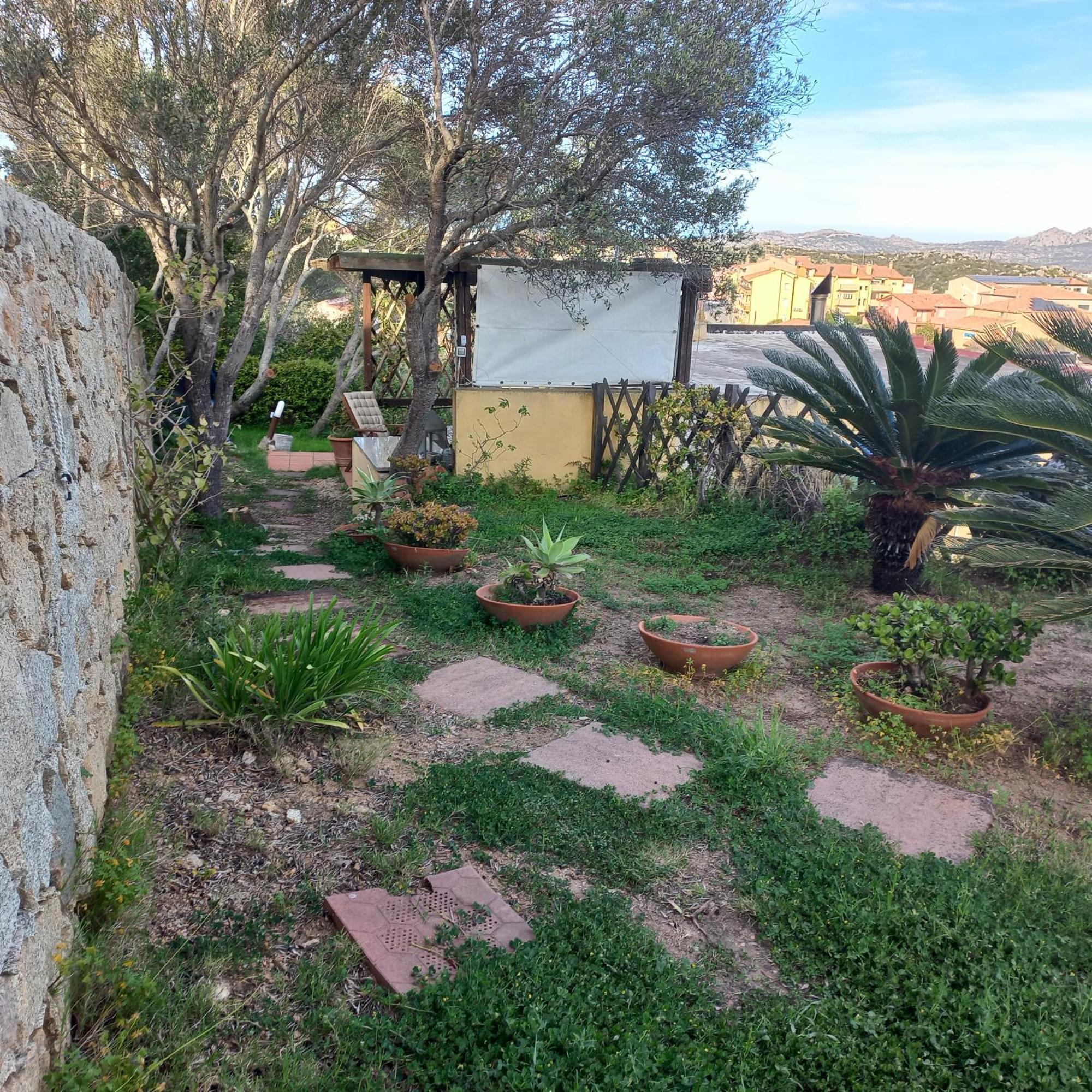 Villa Graziella La Maddalena  Eksteriør billede